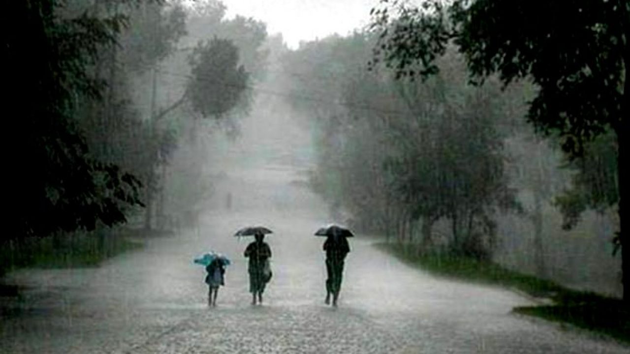 rain odisha