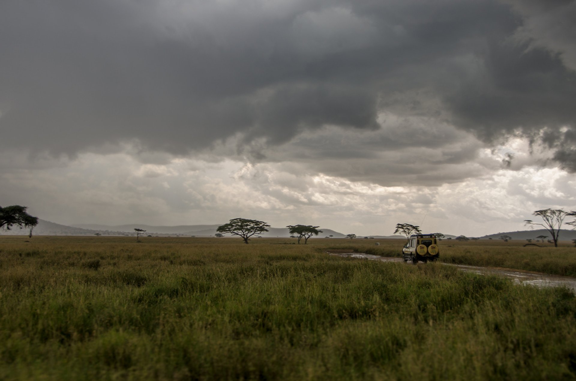 tanzania long rainy season