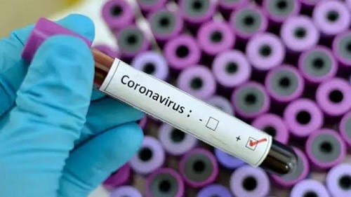 corona virus 11