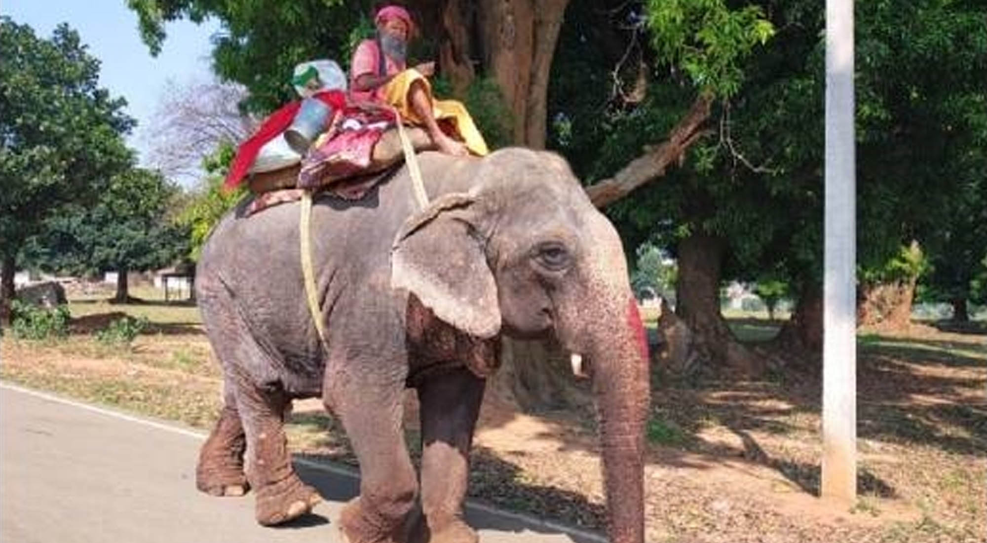 Puri to Banaras on an Elephant