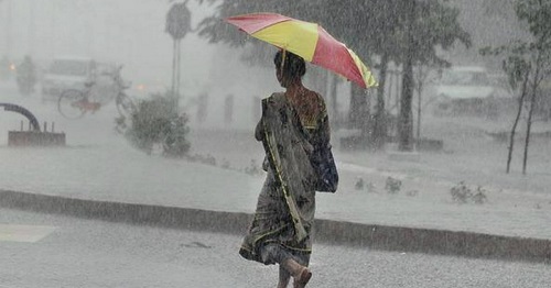 rain in Odisha social 1