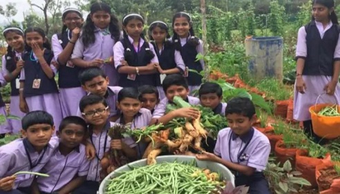 kitchen garden