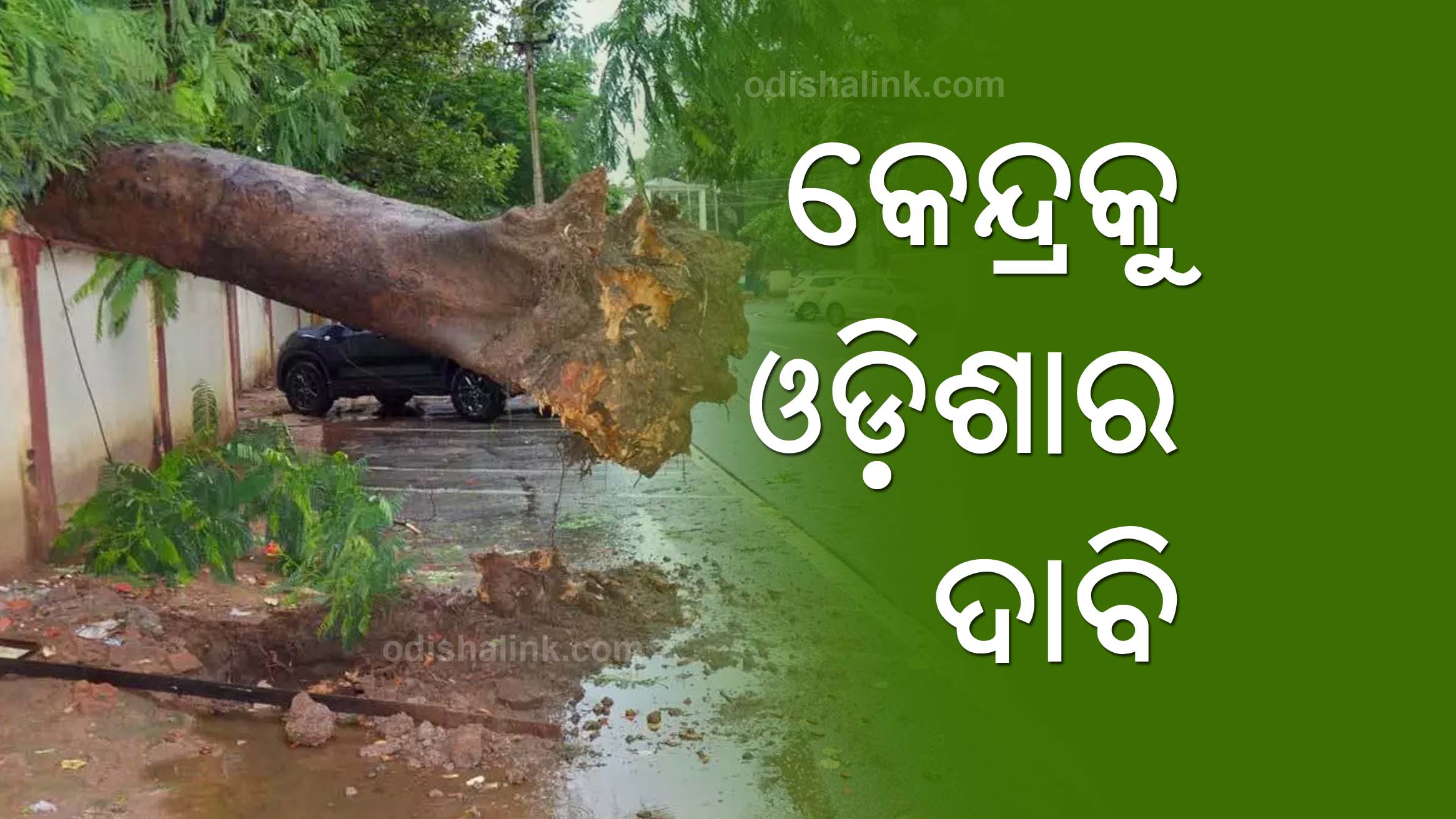 Odisha demands permanent solution for cyclones