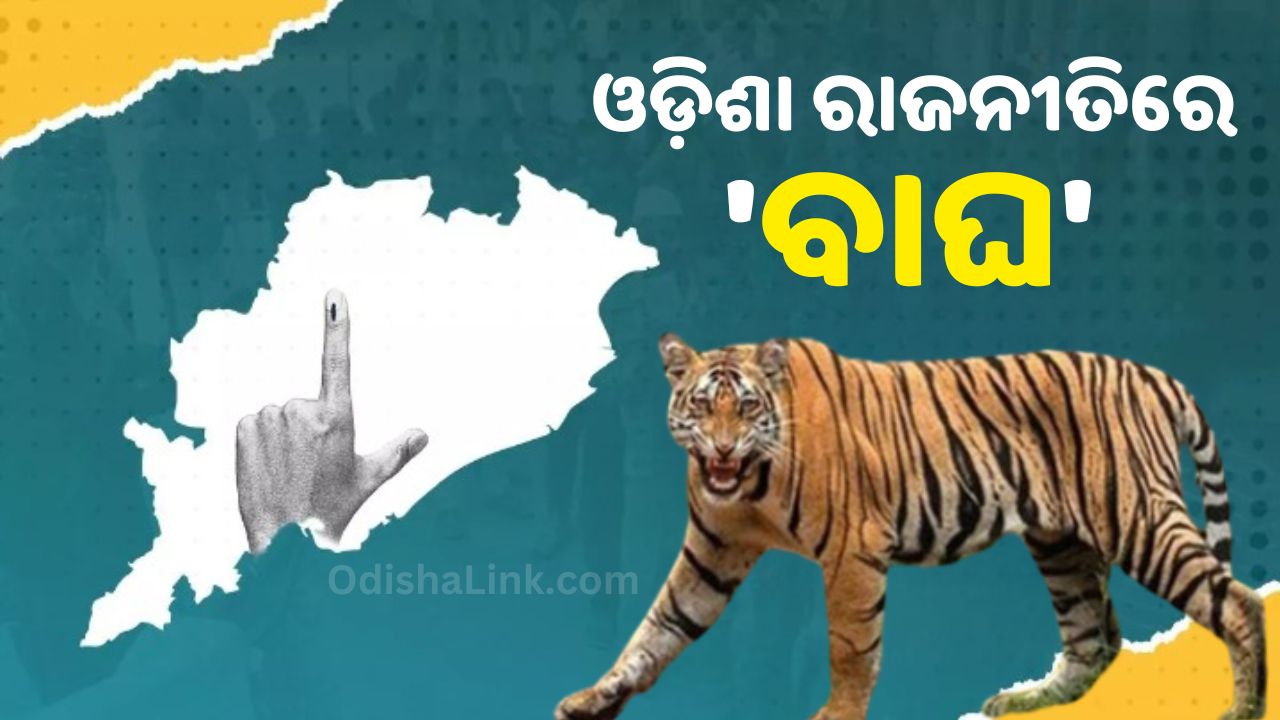 Odisha Politics Tiger